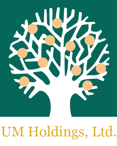 UM Holdings